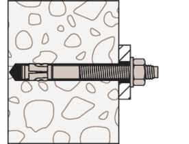 Bolt Anchor FWA 8x80