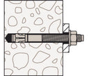 Bolt Anchor FWA 12x100