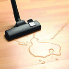 High Pressure Vacuum Cleaner with Blower (Domestic)
